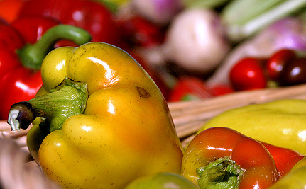 Our Ancestors Were Mostly Vegetarian (Not Meat Eaters)