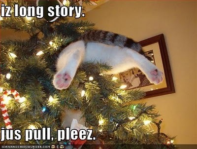 LOL-Christmas-Cat-D-sarahplove-17309466-400-302.jpg