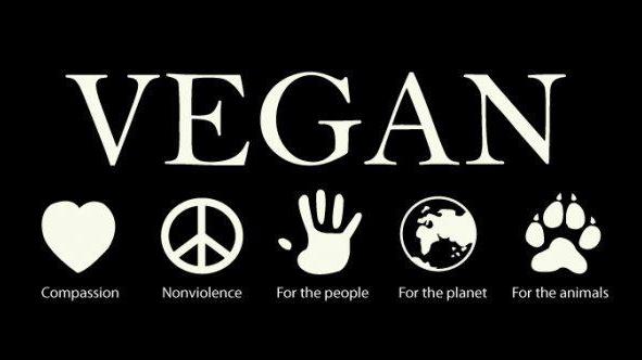 Image result for vegan peace